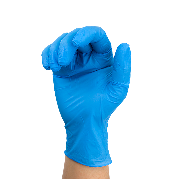 Nitrile Exam Gloves In A Bag