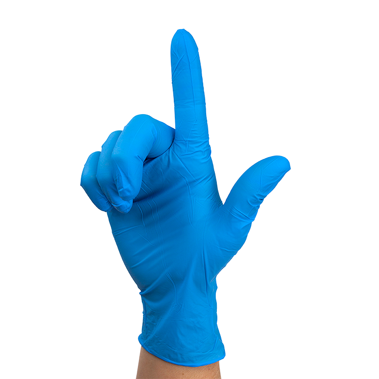Nitrile Exam Gloves In A Bag