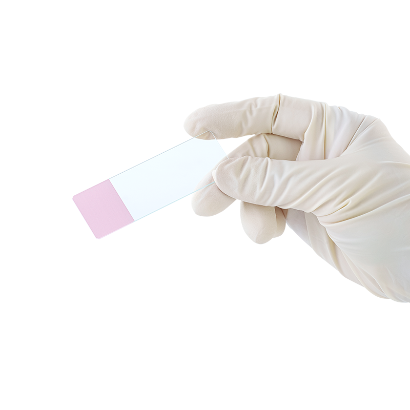 Microscope Slides, Frosted Pink, corner grounded