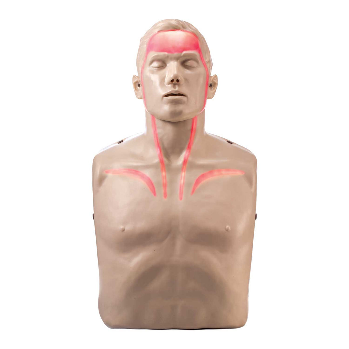 Brayden LED CPR Manikin with Blood Flow Circulation (Red Lights)