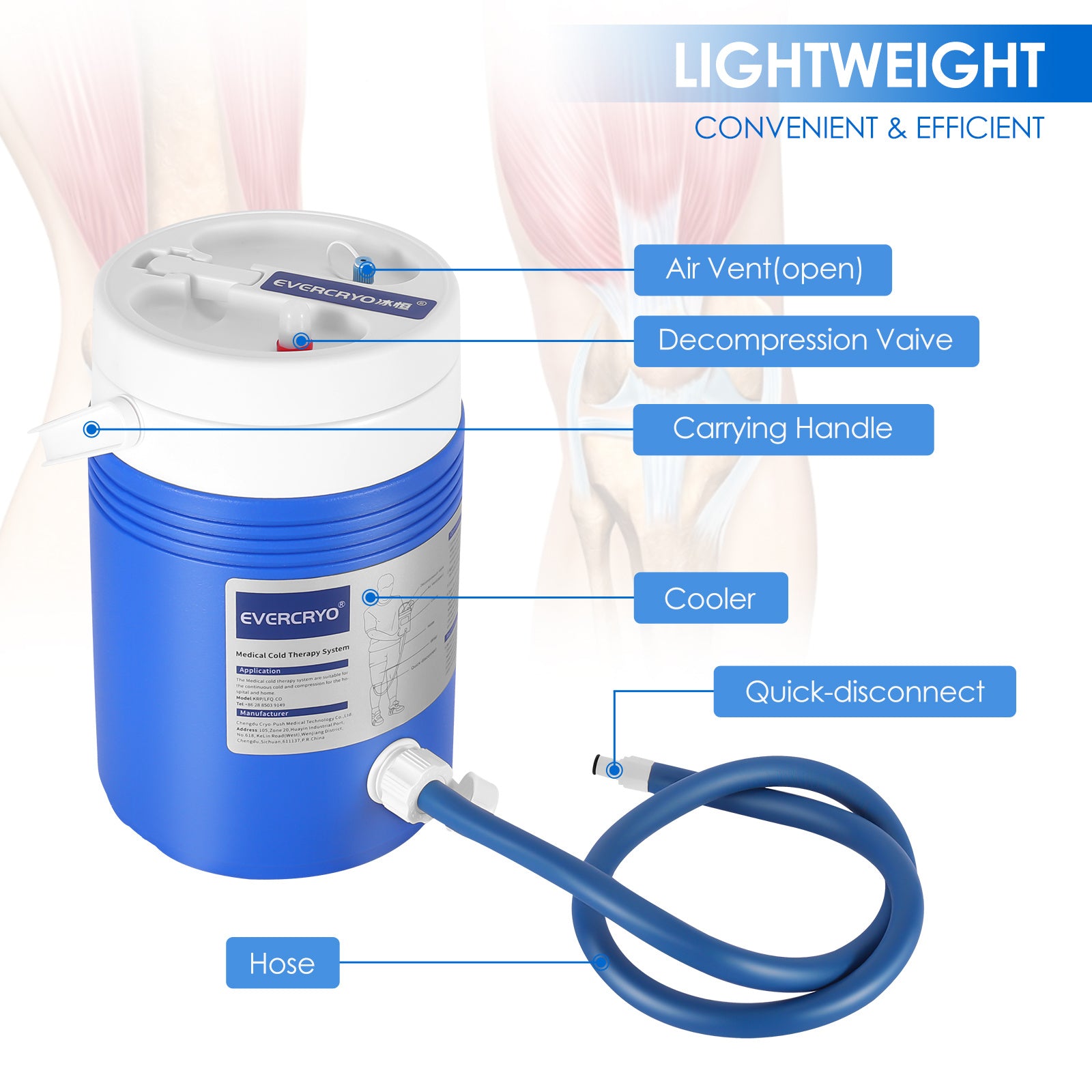 Cold Therapy Machine System With Large Knee Pad Adjustable