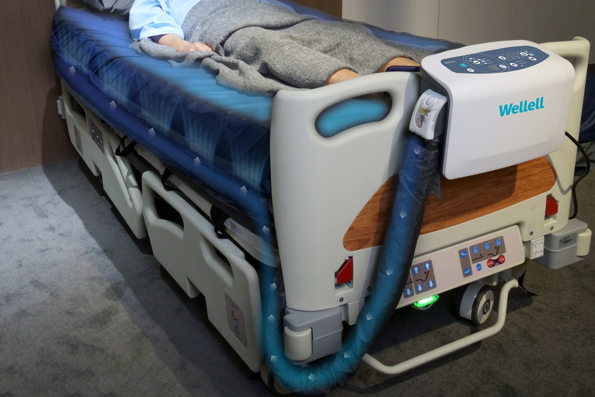 Serene Air 36" w/ quilted cover (2" Foam Optional)